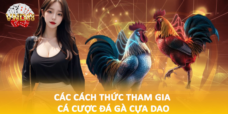Các cách thức tham gia cá cược đá gà cựa dao
