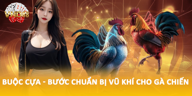 Cách chơi đá gà Campuchia chi tiết từ A đến Z