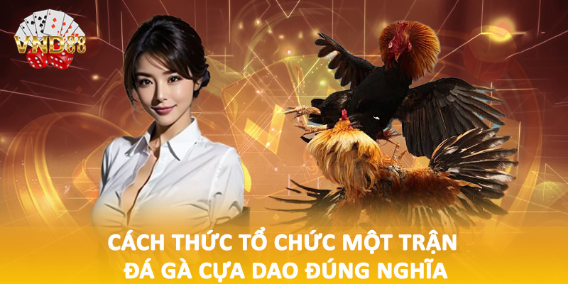 Cách thức tổ chức một trận đá gà cựa dao đúng nghĩa