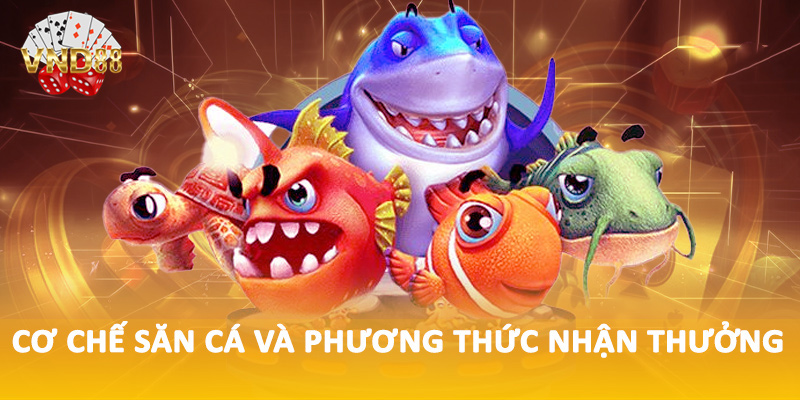 Cơ chế săn cá và phương thức nhận thưởng