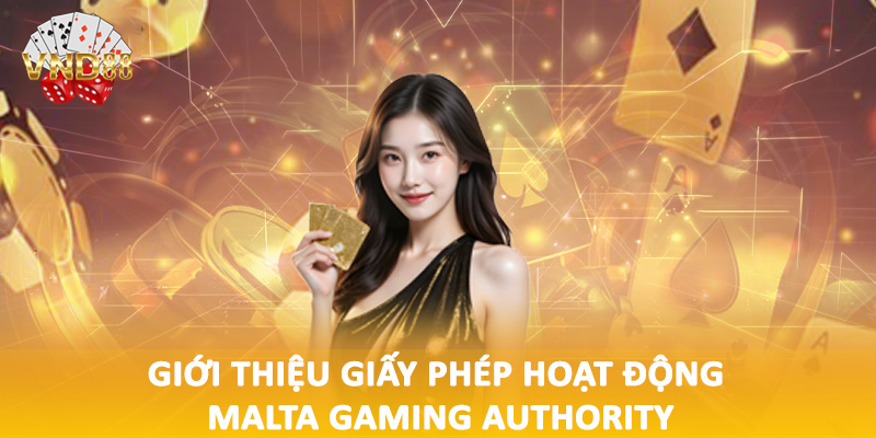 Giới thiệu giấy phép hoạt động Malta Gaming Authority