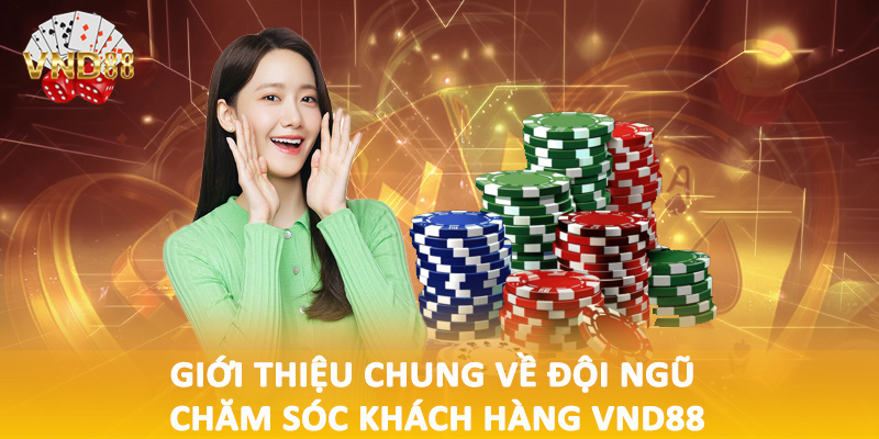 Giới thiệu chung về đội ngũ chăm sóc khách hàng VND88