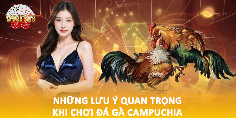 Những lưu ý quan trọng khi chơi đá gà Campuchia