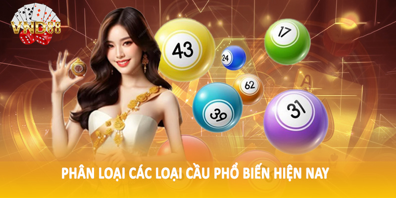 Phân loại các loại cầu phổ biến hiện nay