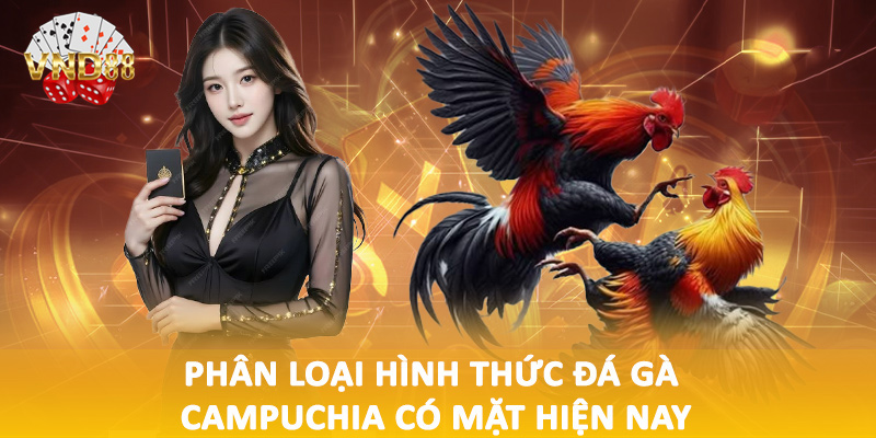 Phân loại hình thức đá gà Campuchia có mặt hiện nay