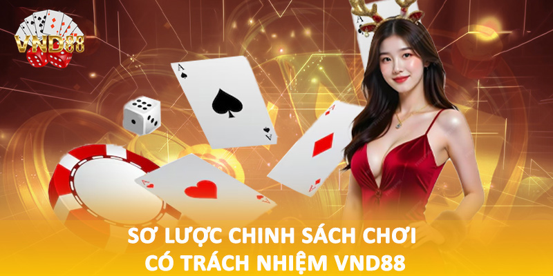 Sơ lược chinh sách chơi có trách nhiệm VND88