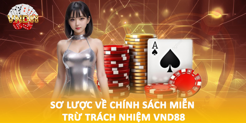 Sơ lược về chính sách miễn trừ trách nhiệm VND88