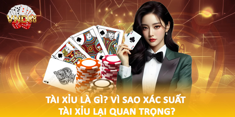 Tài xỉu là gì? Vì sao xác suất tài xỉu lại quan trọng?