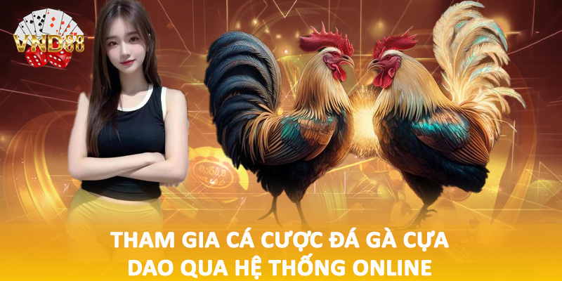 Tham gia cá cược đá gà cựa dao qua hệ thống online