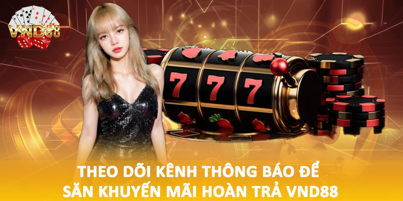 Theo dõi kênh thông báo để săn khuyến mãi hoàn trả VND88