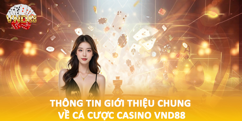 Thông tin giới thiệu chung về cá cược casino VND88