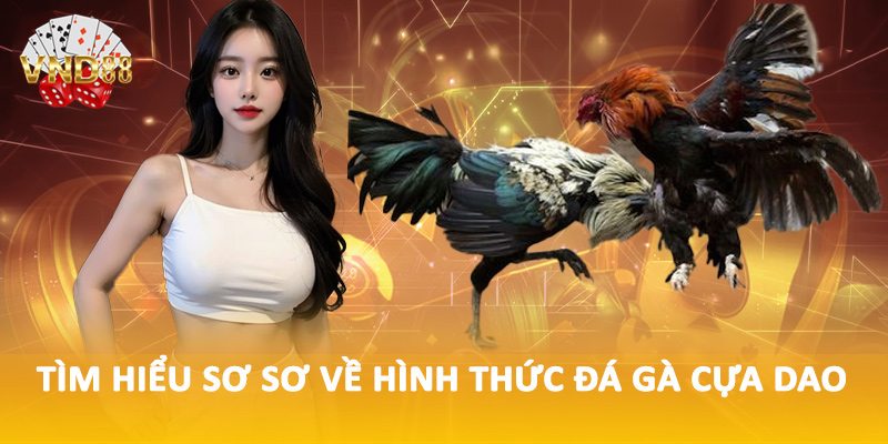 Tìm hiểu sơ sơ về hình thức đá gà cựa dao