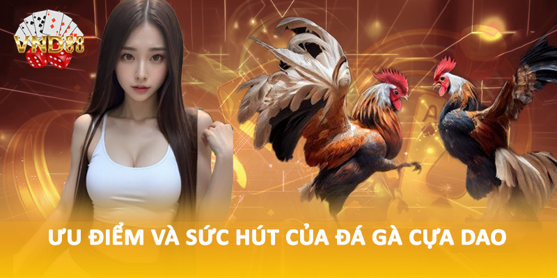 Ưu điểm và sức hút của đá gà cựa dao